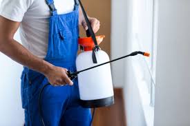 Best Fumigation Services  in Pima, AZ